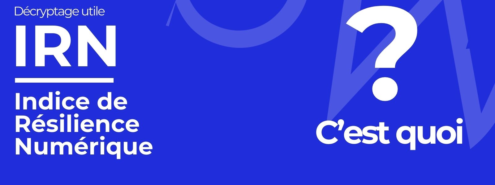 Décryptage utile : C'est quoi L' IRN ?